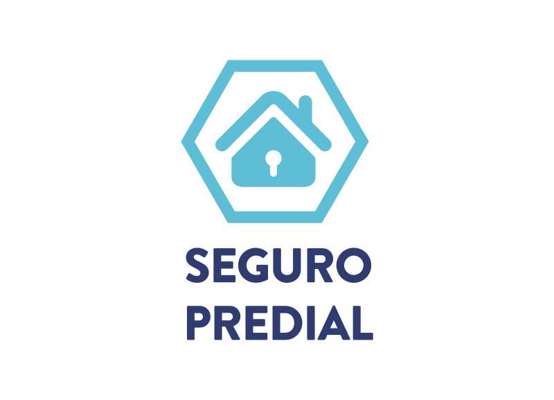 seguro popular